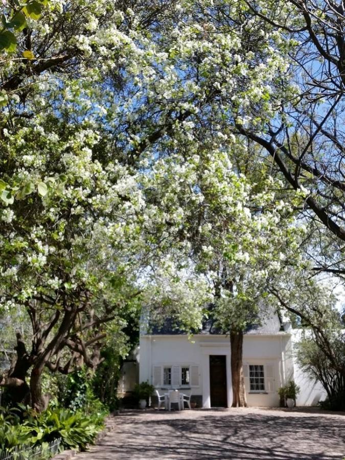 Little Green World Beaufort West Dış mekan fotoğraf
